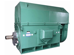 YJTG-315L1-8A/90KWYKK系列高压电机