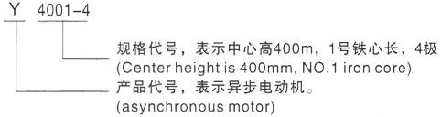 西安泰富西玛Y系列(H355-1000)高压YJTG-315L1-8A/90KW三相异步电机型号说明