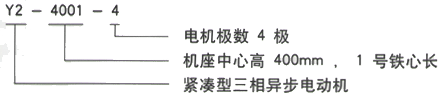 YR系列(H355-1000)高压YJTG-315L1-8A/90KW三相异步电机西安西玛电机型号说明